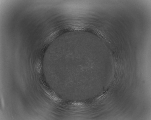 X0000062630741200601041031