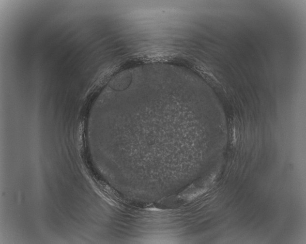 X0000062630742200601041031