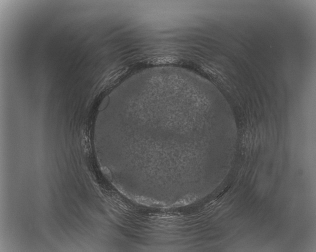 X0000062630743200601041031