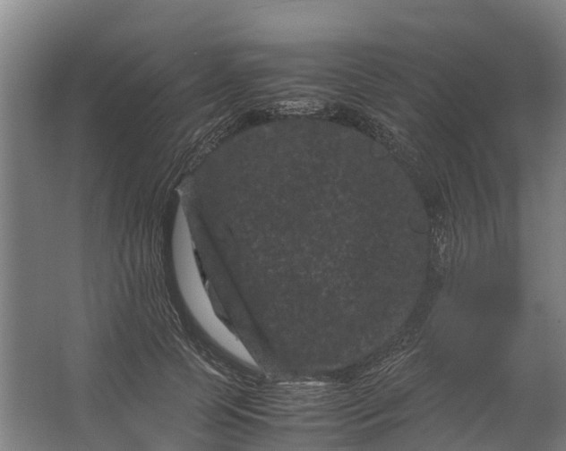 X0000062630745200601041031