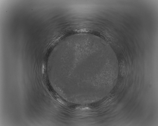 X0000062630747200601041031