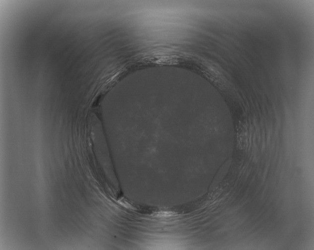 X0000062630748200601041031