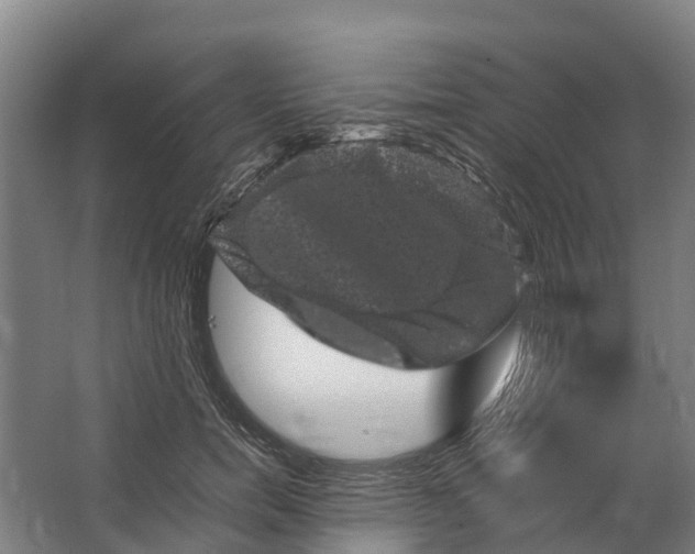 X0000062630750200601041031