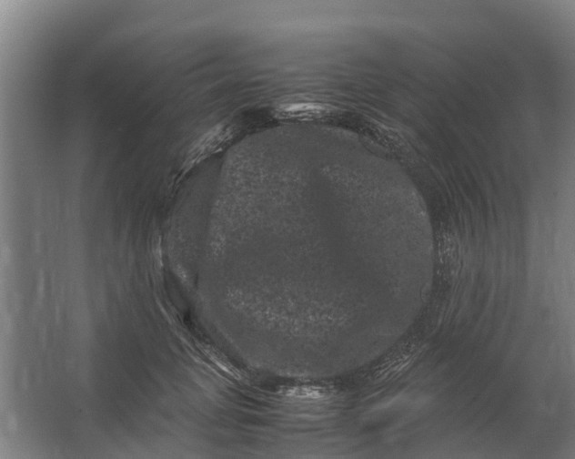 X0000062630751200601041031