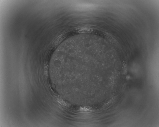 X0000062630753200601041031