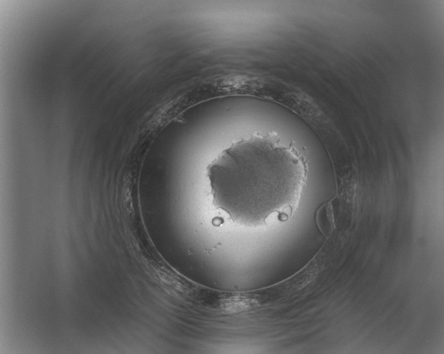 X0000062630754200601041031