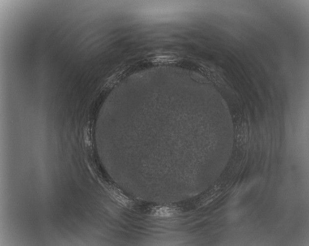 X0000062630755200601041031