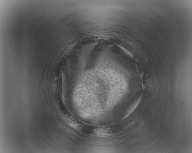 X0000062630756200601041031