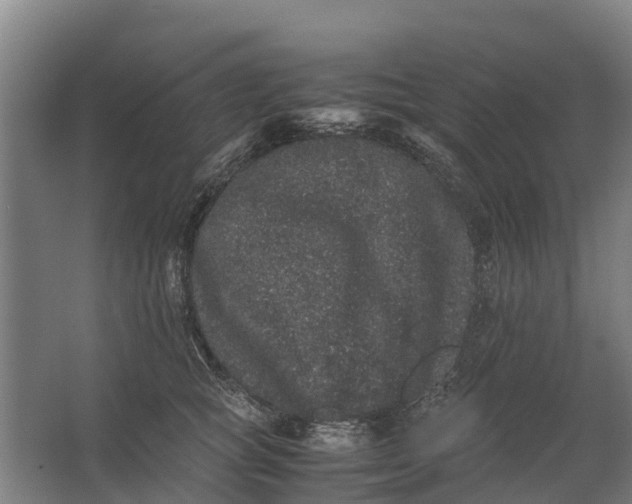 X0000062630757200601041031