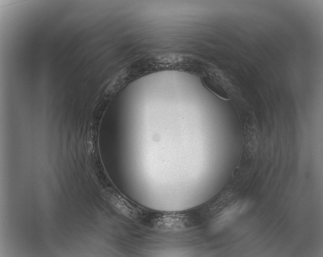 X0000062630758200601041031