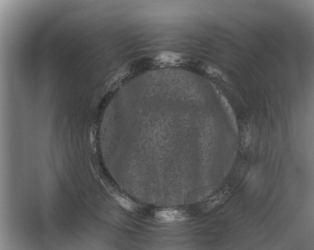 X0000062630759200601041031