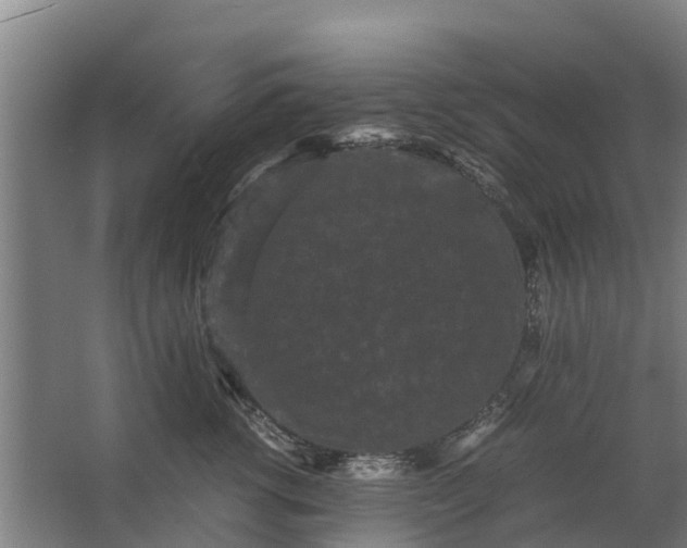 X0000062630762200601041031