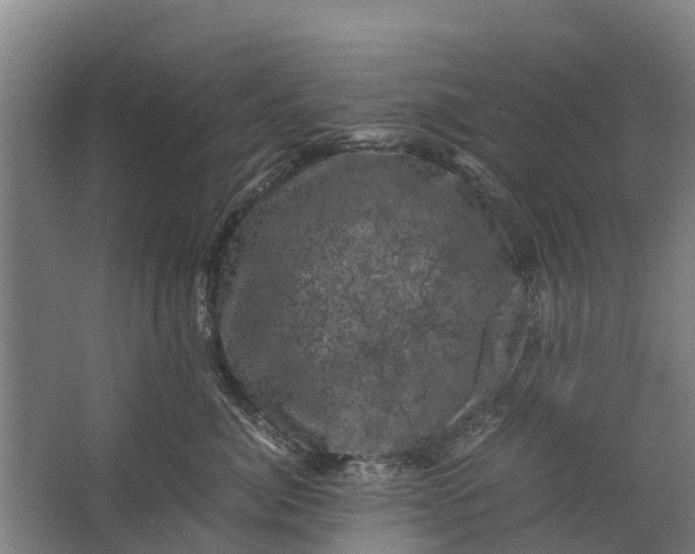 X0000062630764200601041031