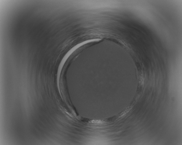 X0000062630766200601041031