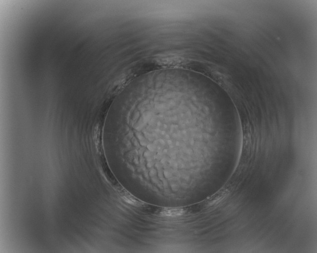 X0000062630767200601041031