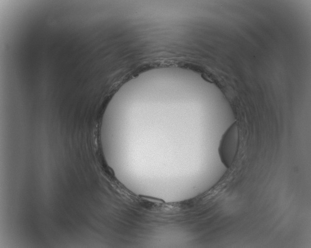 X0000062630768200601041031