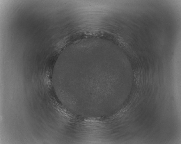 X0000062630770200601041030