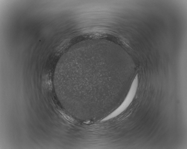 X0000062630771200601041030