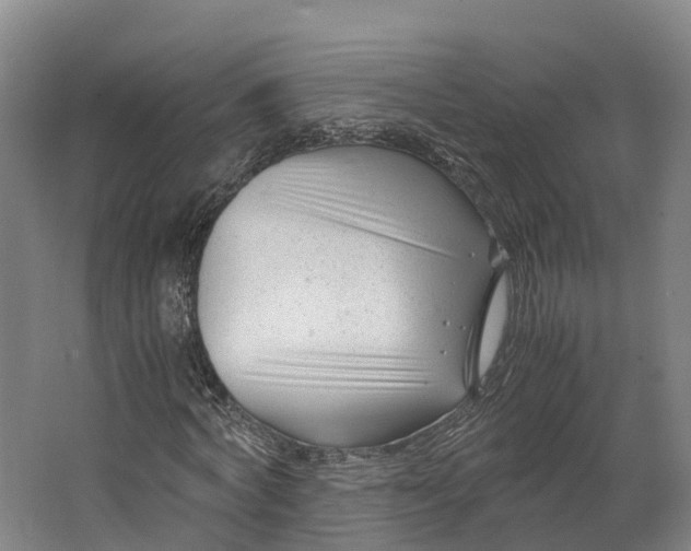 X0000062630772200601041030