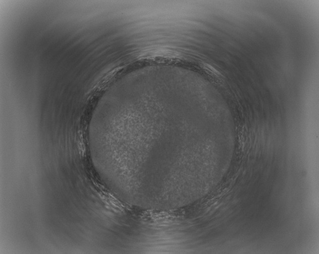 X0000062630774200601041030