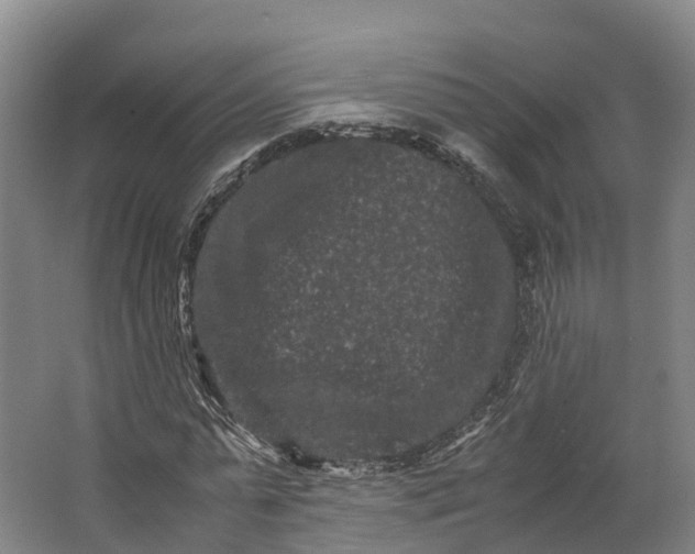 X0000062630775200601041030