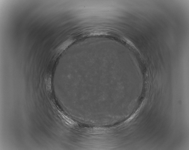 X0000062630777200601041030