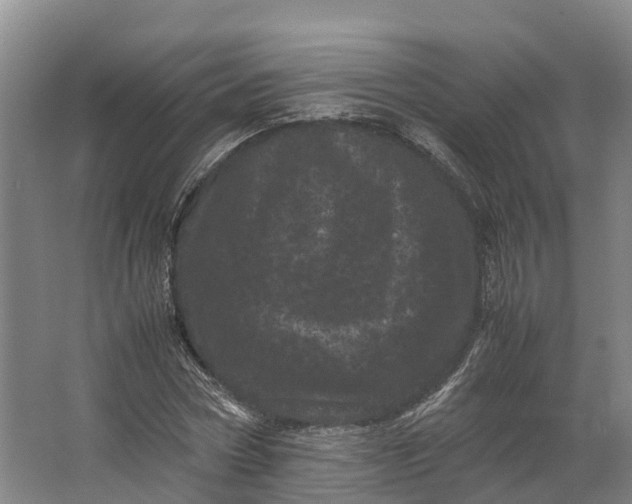 X0000062630778200601041030