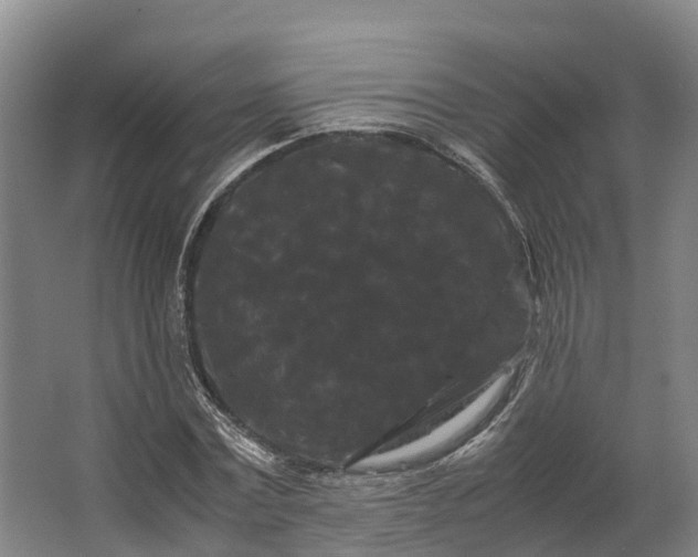 X0000062630779200601041030