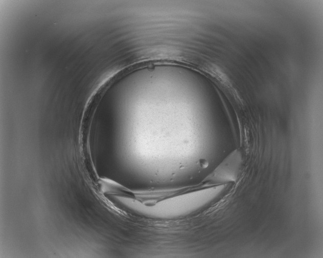 X0000062630780200601041030