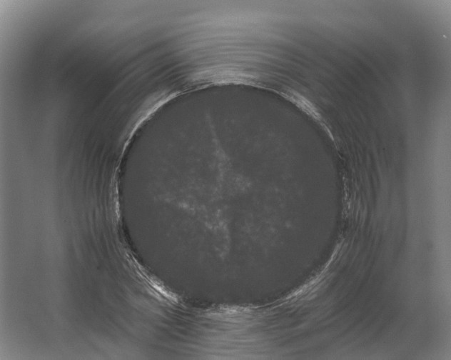 X0000062630782200601041030