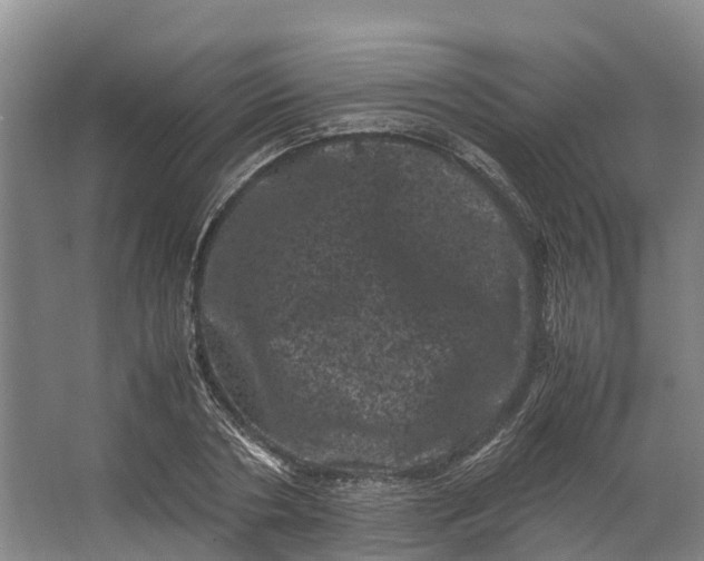 X0000062630786200601041030