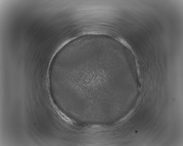 X0000062630787200601041030