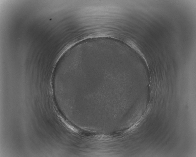 X0000062630789200601041030