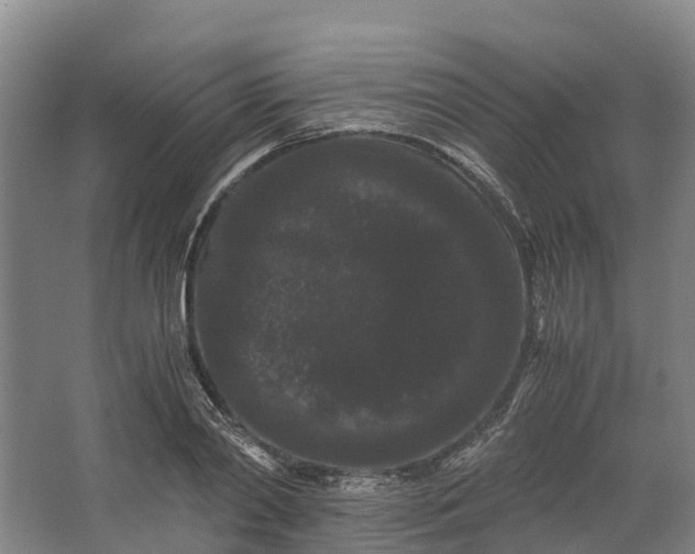 X0000062630790200601041030