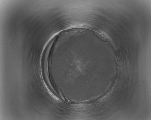 X0000062630792200601041030