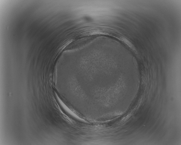 X0000062630793200601041030