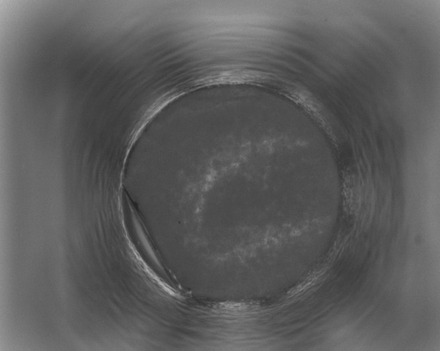 X0000062630794200601041030