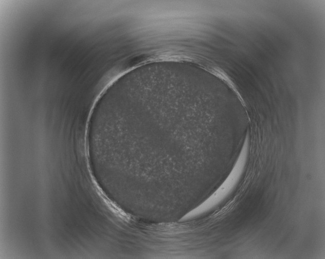 X0000062630795200601041030