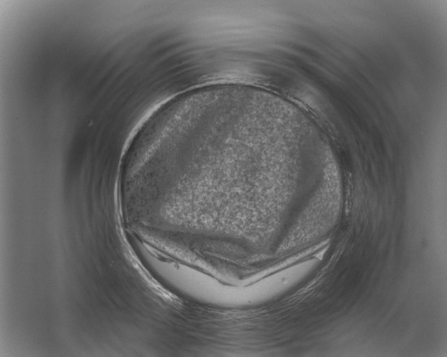 X0000062630796200601041030