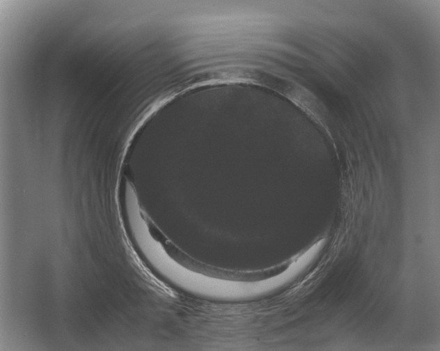 X0000062630797200601041030