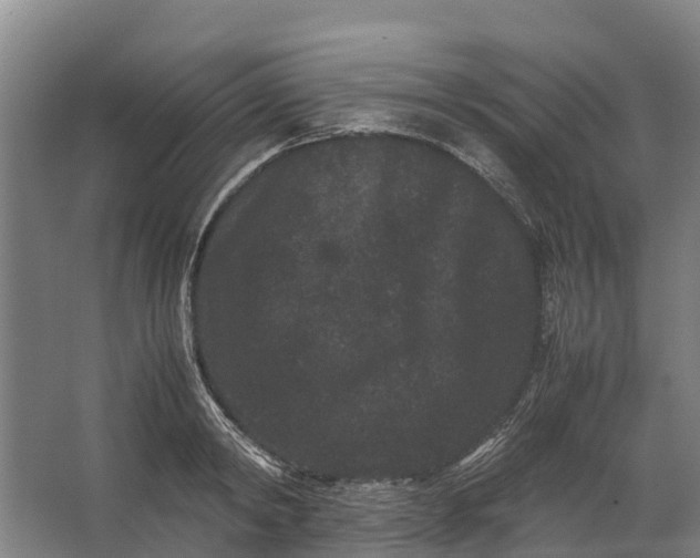 X0000062630798200601041030