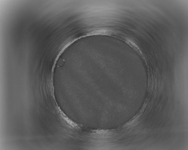 X0000062630800200601041030