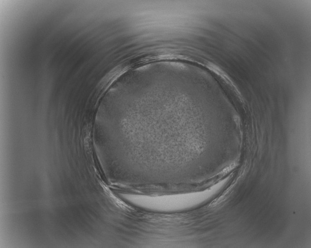 X0000062630801200601041030