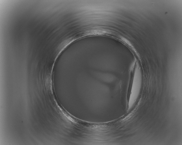 X0000062630802200601041030