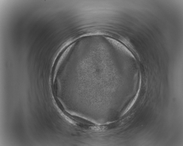 X0000062630805200601041030