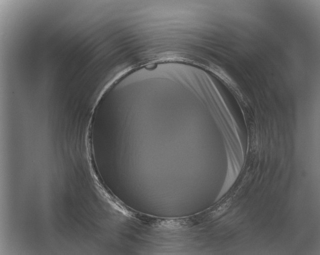 X0000062630806200601041030