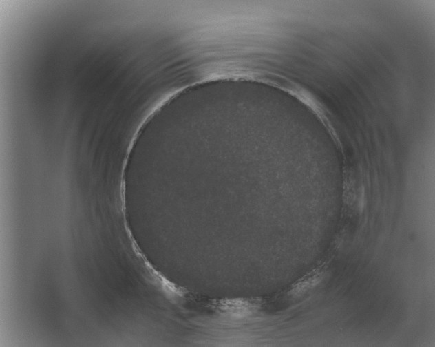 X0000062630807200601041030