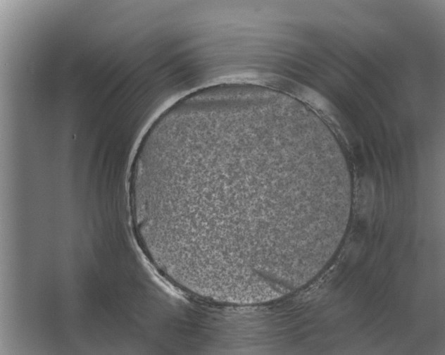 X0000062630808200601041029