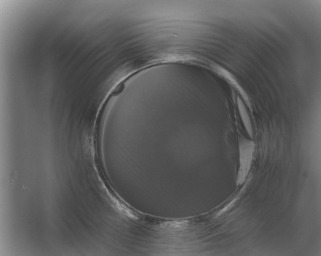 X0000062630810200601041029