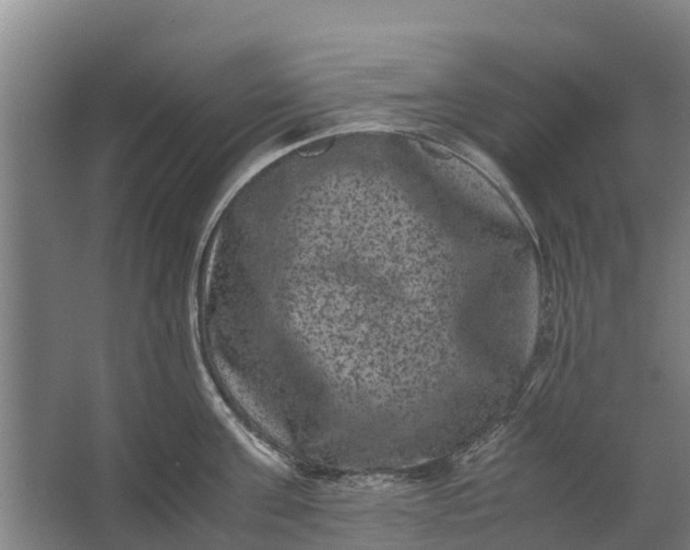 X0000062630811200601041029